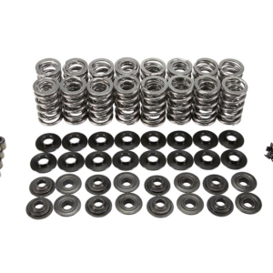 3904 Comp Dual Spring Kit .660