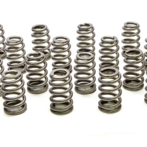 PAC Valve Springs